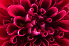 P1010792
