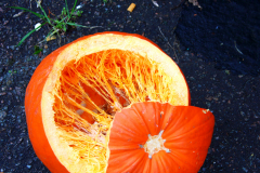 Pumpkin